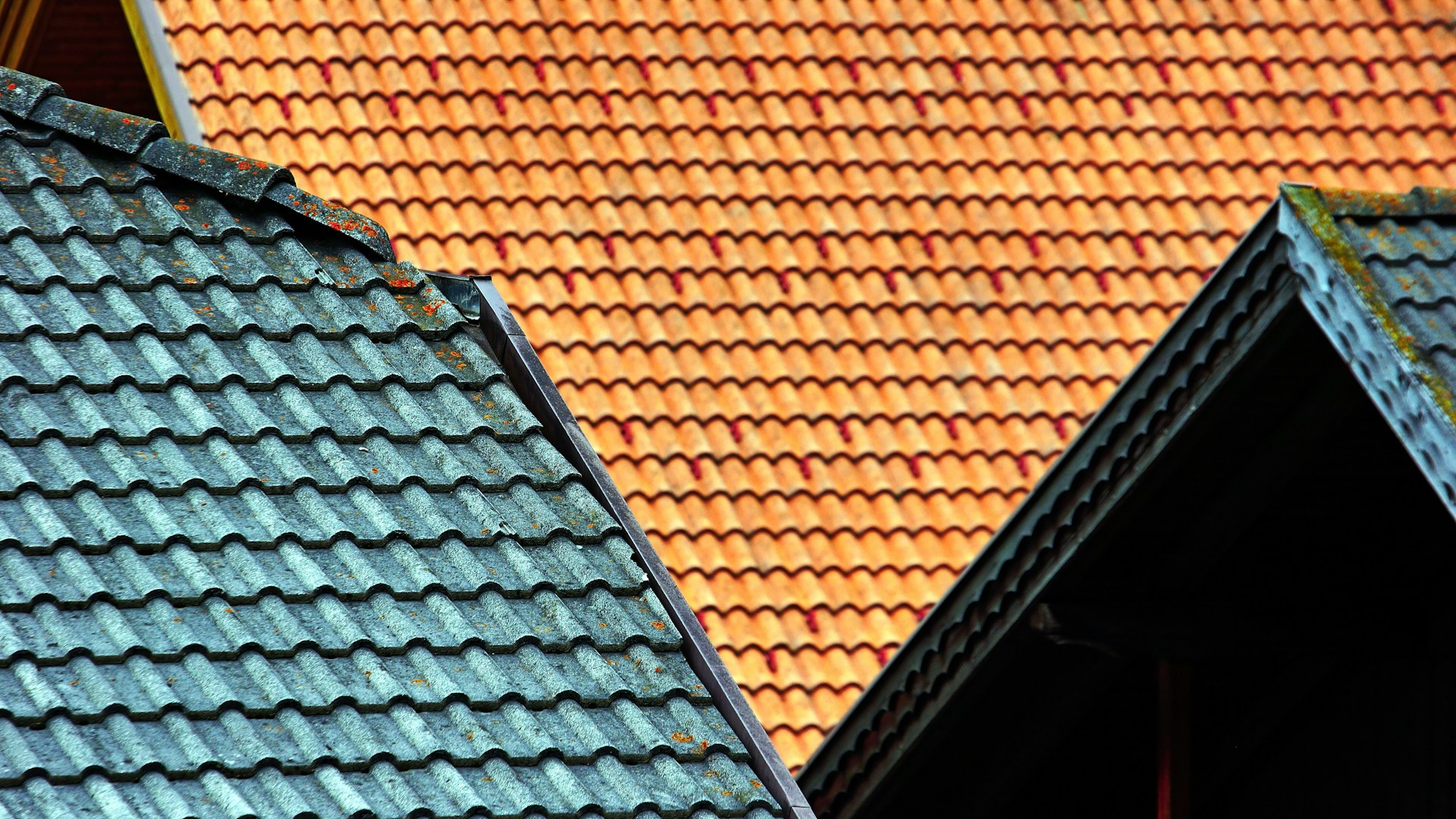 Brown and green roofs. Image by Unsplash