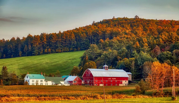 Farm