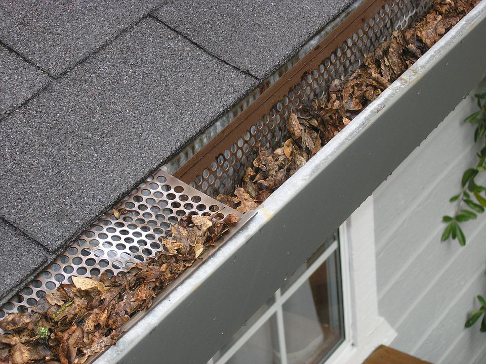 leaves in gutters